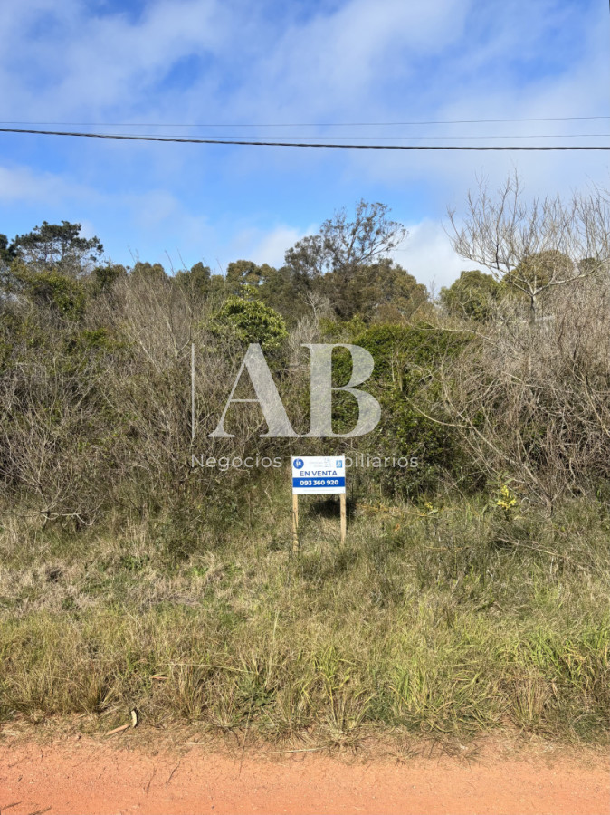 Terreno ID.314 - En Venta Solar 29 Manzana 24 - Punta del Diablo