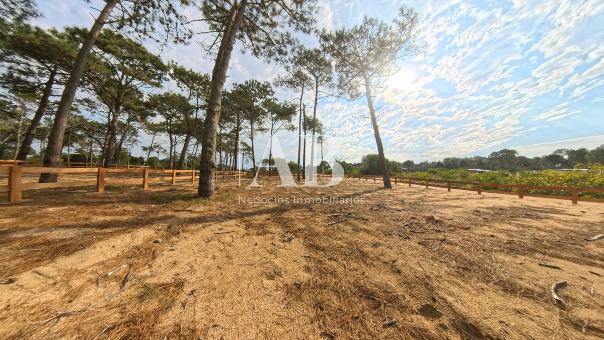 Terreno ID.229 - Solar 15 Ribera - Entrega U$D3.500 - Punta del Diablo