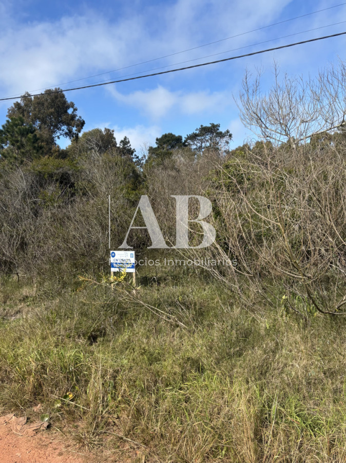 Terreno ID.314 - En Venta Solar 29 Manzana 24 - Punta del Diablo
