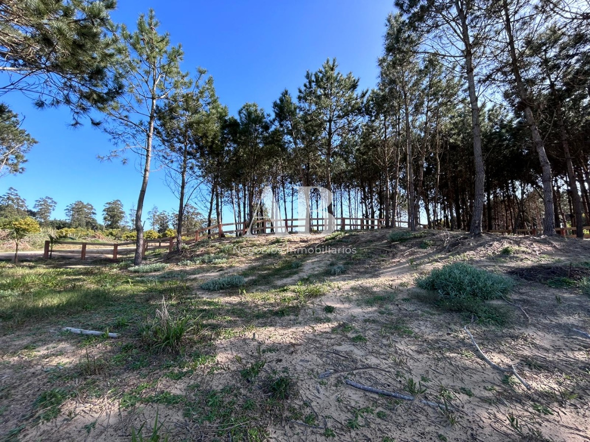 Terreno ID.136 - Solar 7 Punta del Diablo - Desarrollo La Isla - Mza 309