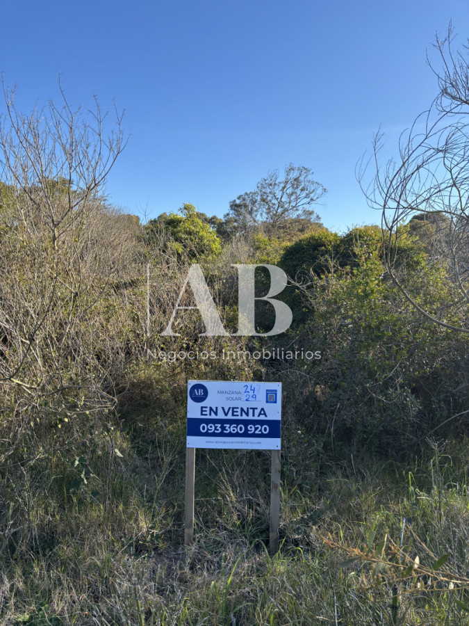 Terreno ID.314 - En Venta Solar 29 Manzana 24 - Punta del Diablo