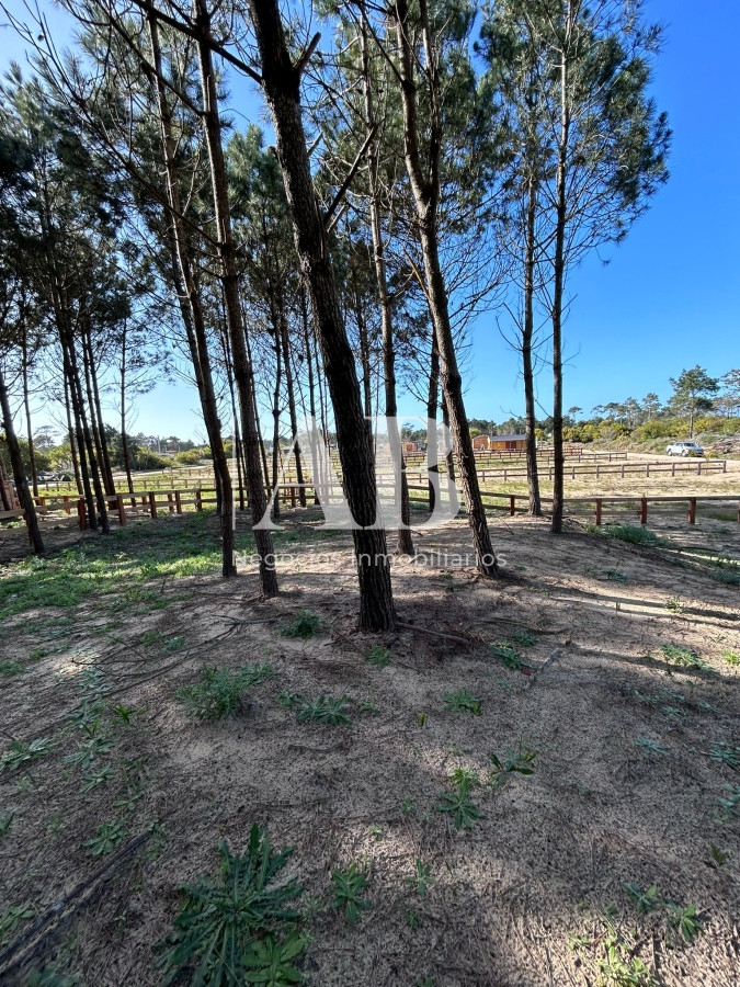 Terreno ID.136 - Solar 7 Punta del Diablo - Desarrollo La Isla - Mza 309