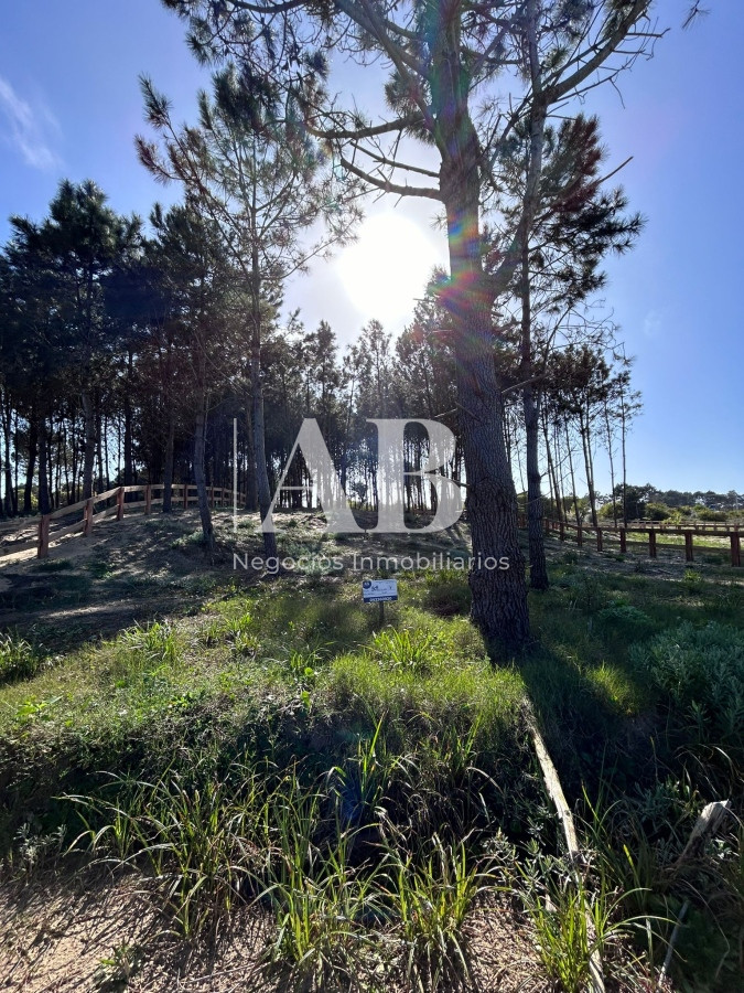 Terreno ID.136 - Solar 7 Punta del Diablo - Desarrollo La Isla - Mza 309