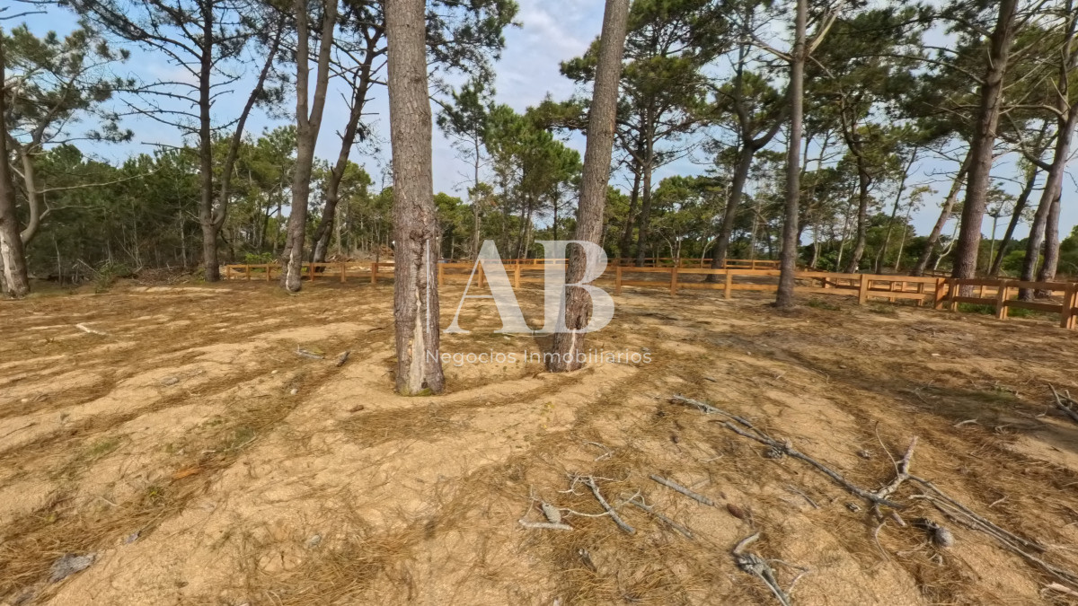 Terreno ID.229 - Solar 15 Ribera - Entrega U$D3.500 - Punta del Diablo