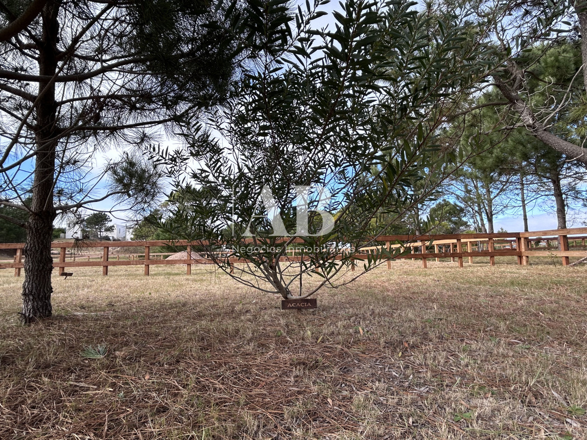 Terreno ID.238 - Terreno en Punta del Diablo a 200m Playa LaViuda - Solar 5