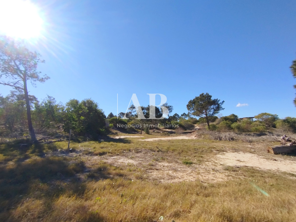 Terreno ID.329 - La Esmeralda. Terreno nivelado y limpio a metros de la playa.