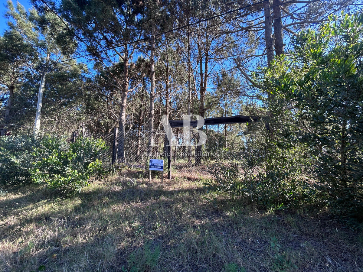 Terreno ID.256 - Solar en La Viuda - Manzana 203 - Punta del Diablo
