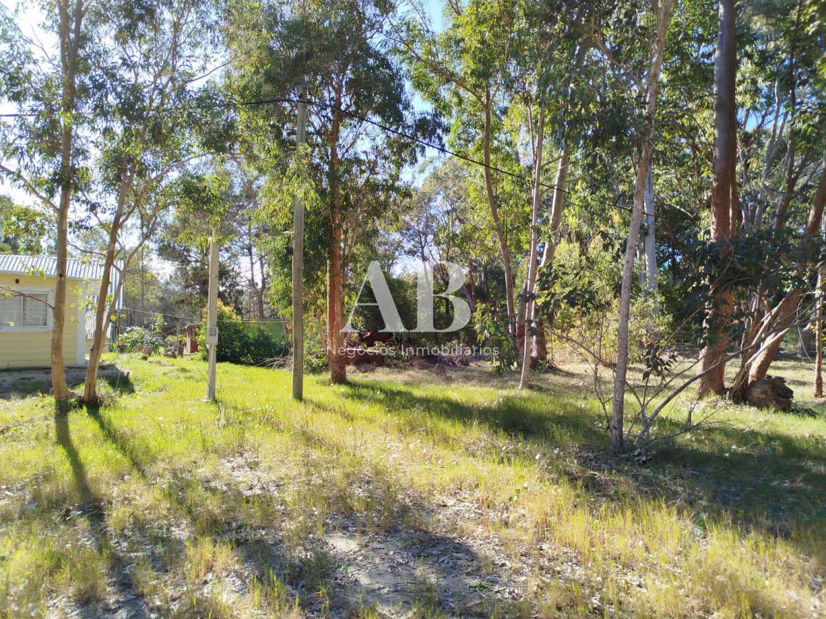 Apartamento ID.251 - Terreno zona Centro - La Esmeralda.