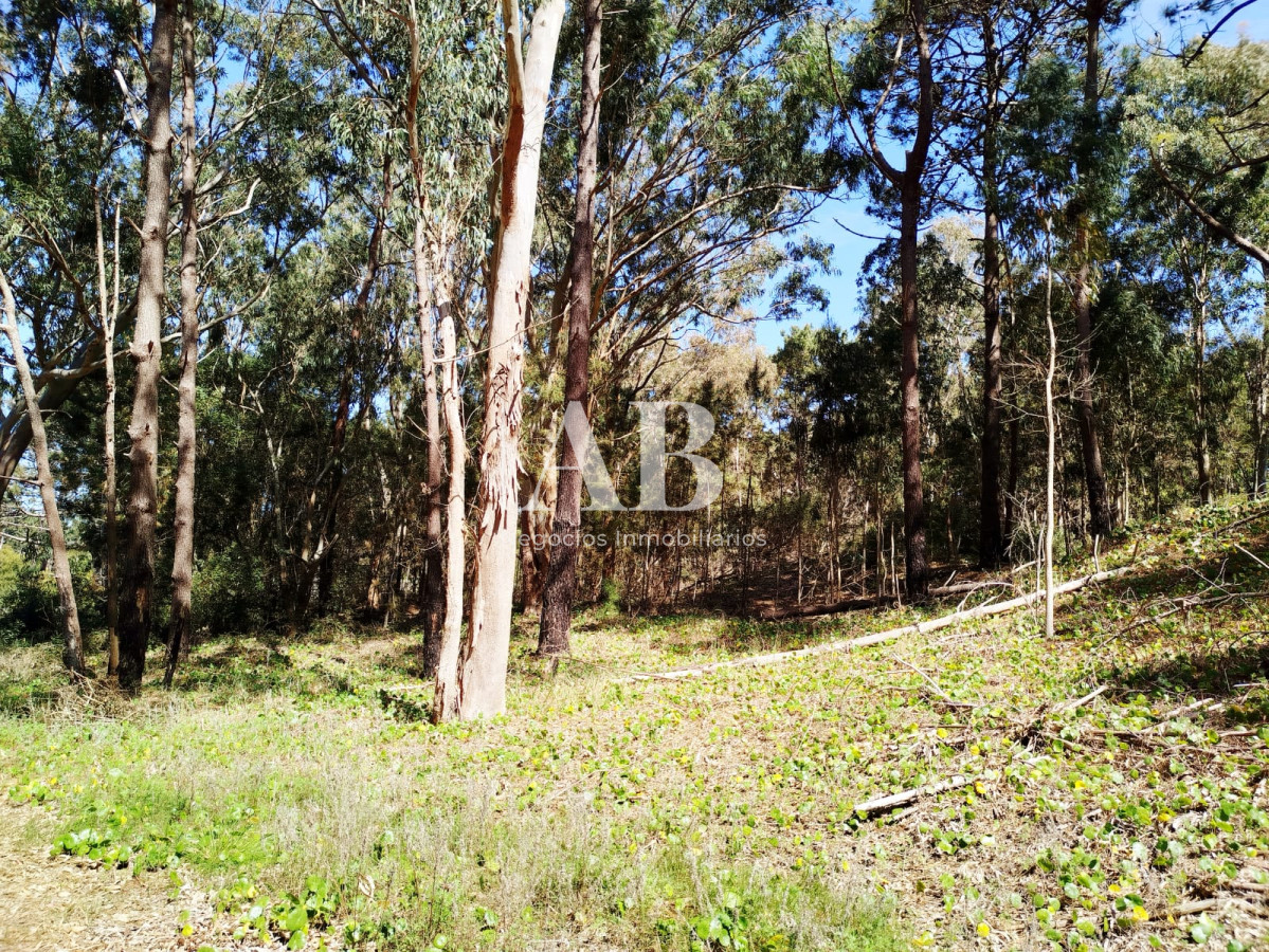 Terreno ID.273 - Dos terrenos a pocos metros de la playa en La Esmeralda.