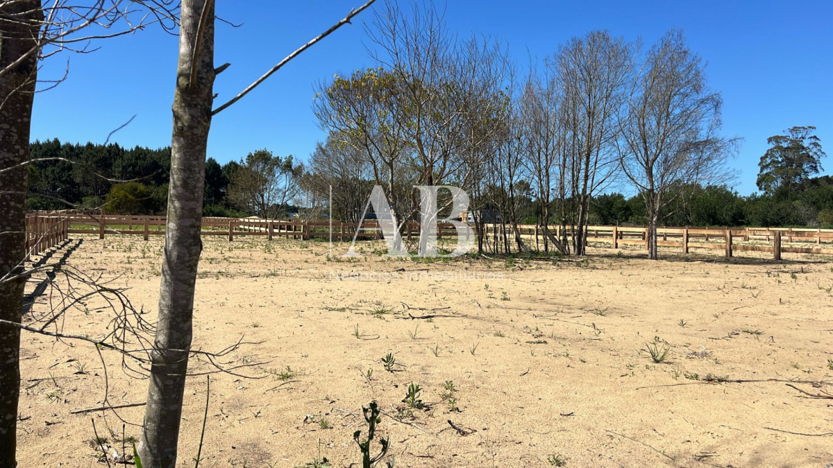 Terreno ID.264 - Terreno 2 en Distrito - Entrega U$D3.500 Punta del Diablo