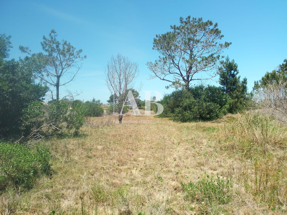 Terreno ID.166 - En venta 2 solares juntos o separados en excelente ubicación en La Esmeralda.