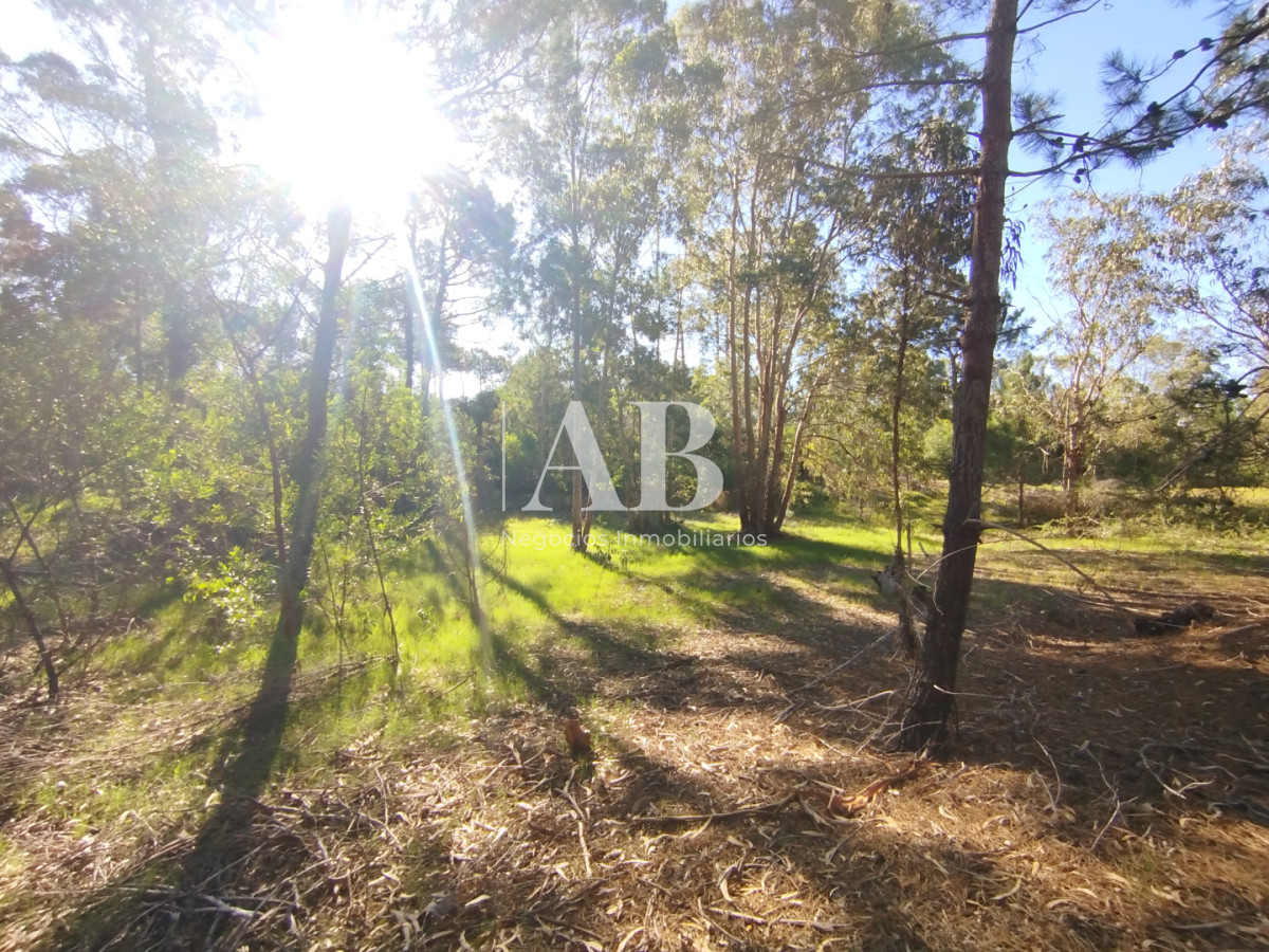 Terreno ID.299 - Lote de 1050m2 a pocas cuadras de la playa