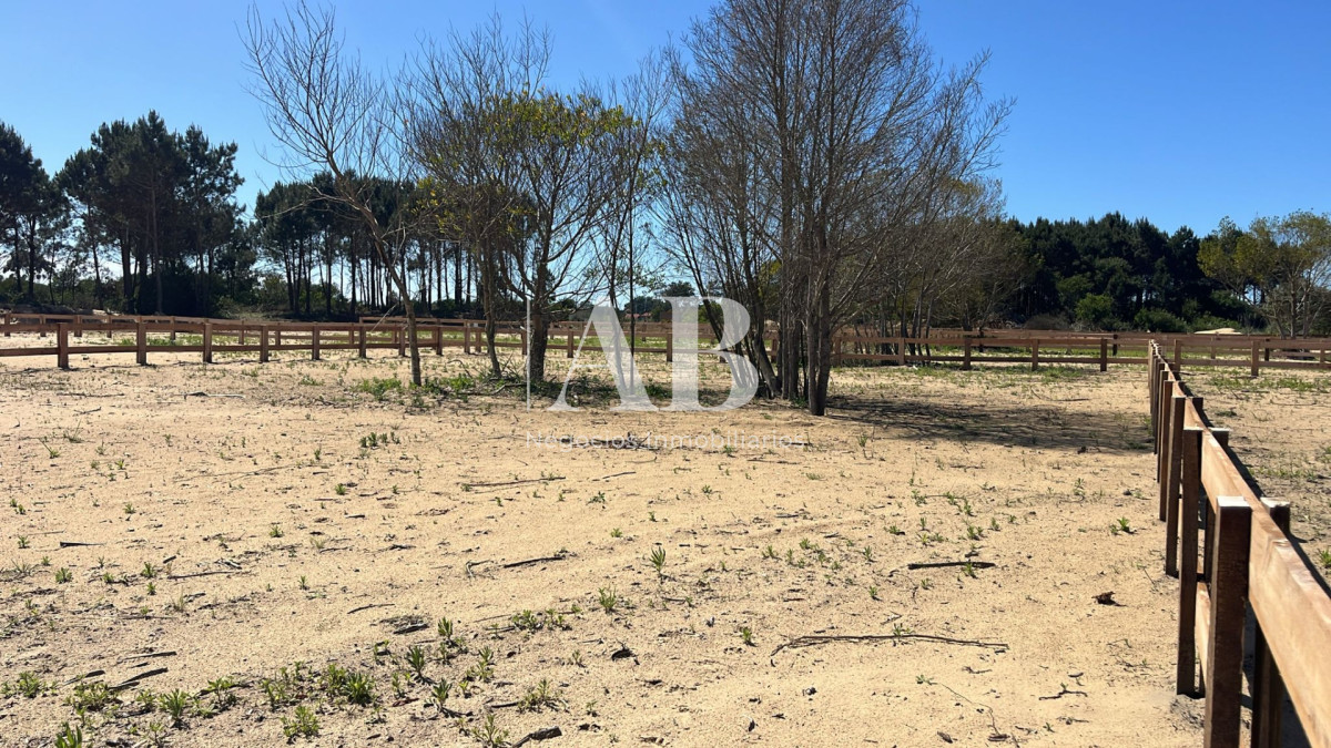 Terreno ID.264 - Terreno 2 en Distrito - Entrega U$D3.500 Punta del Diablo