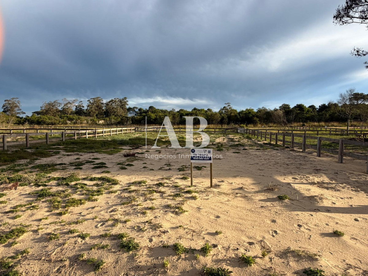 Terreno ID.309 - Solar 12 Manzana 336-Distrito Plaza-Punta del DIablo