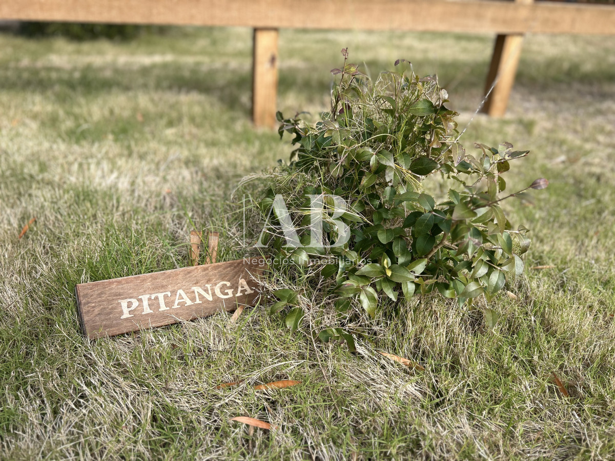 Terreno ID.75 - Raíces - Solares financiados a 200m Playa LaViuda 