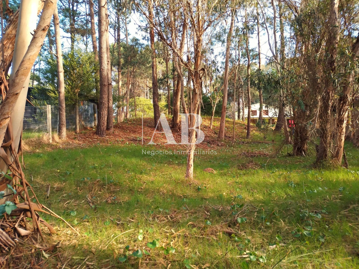 Terreno ID.132 - Terreno en La Esmeralda centro - Mza 312