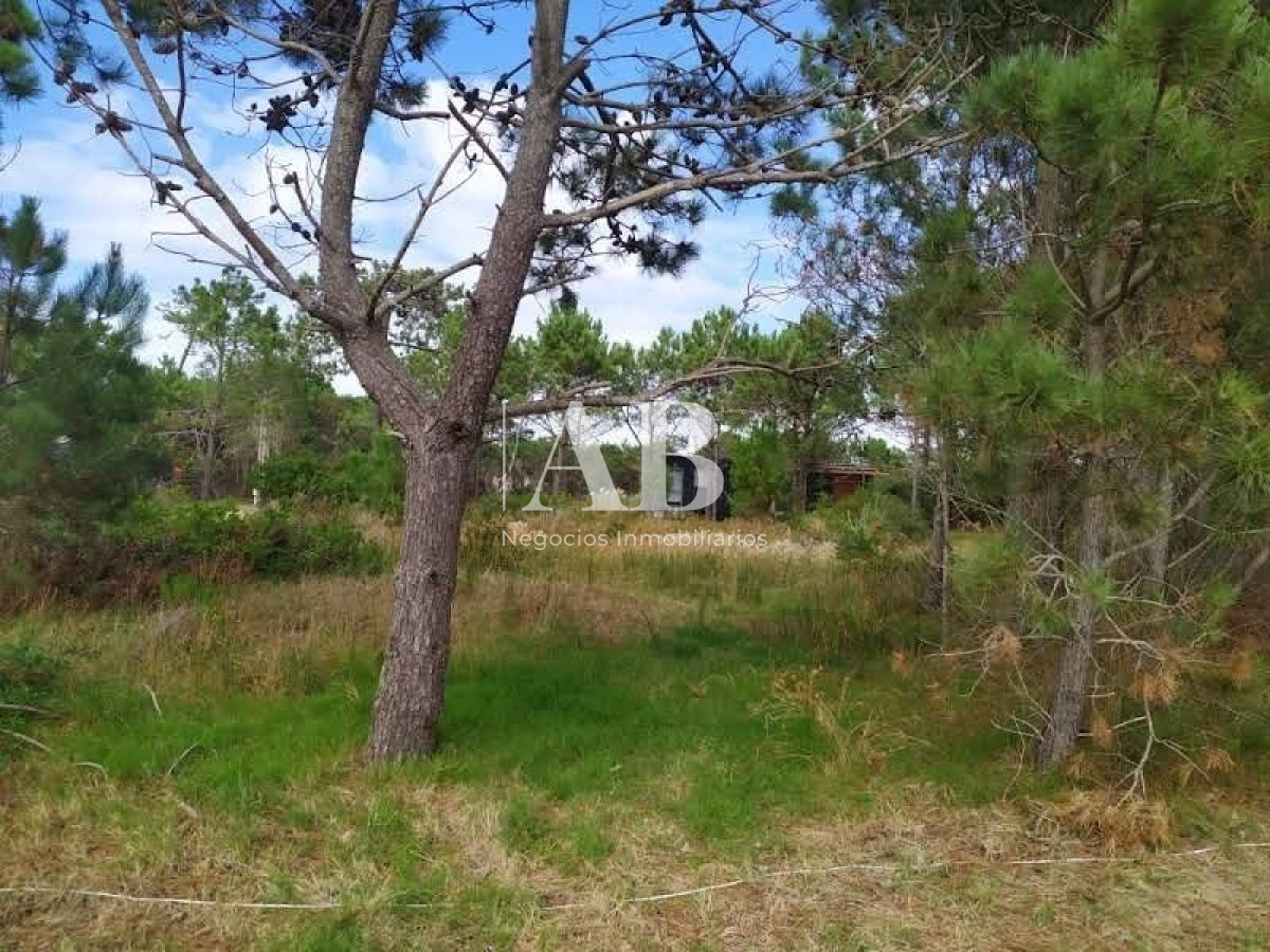 Terreno ID.11 - Terrenos En La Viuda - A 7 Cuadras De La Playa - Mza 304