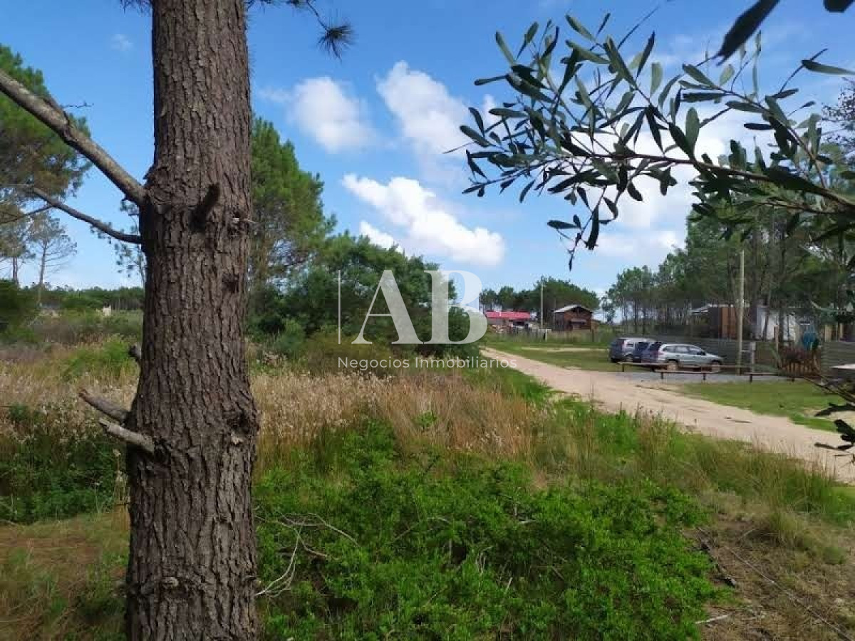 Terreno ID.11 - Terrenos En La Viuda - A 7 Cuadras De La Playa - Mza 304
