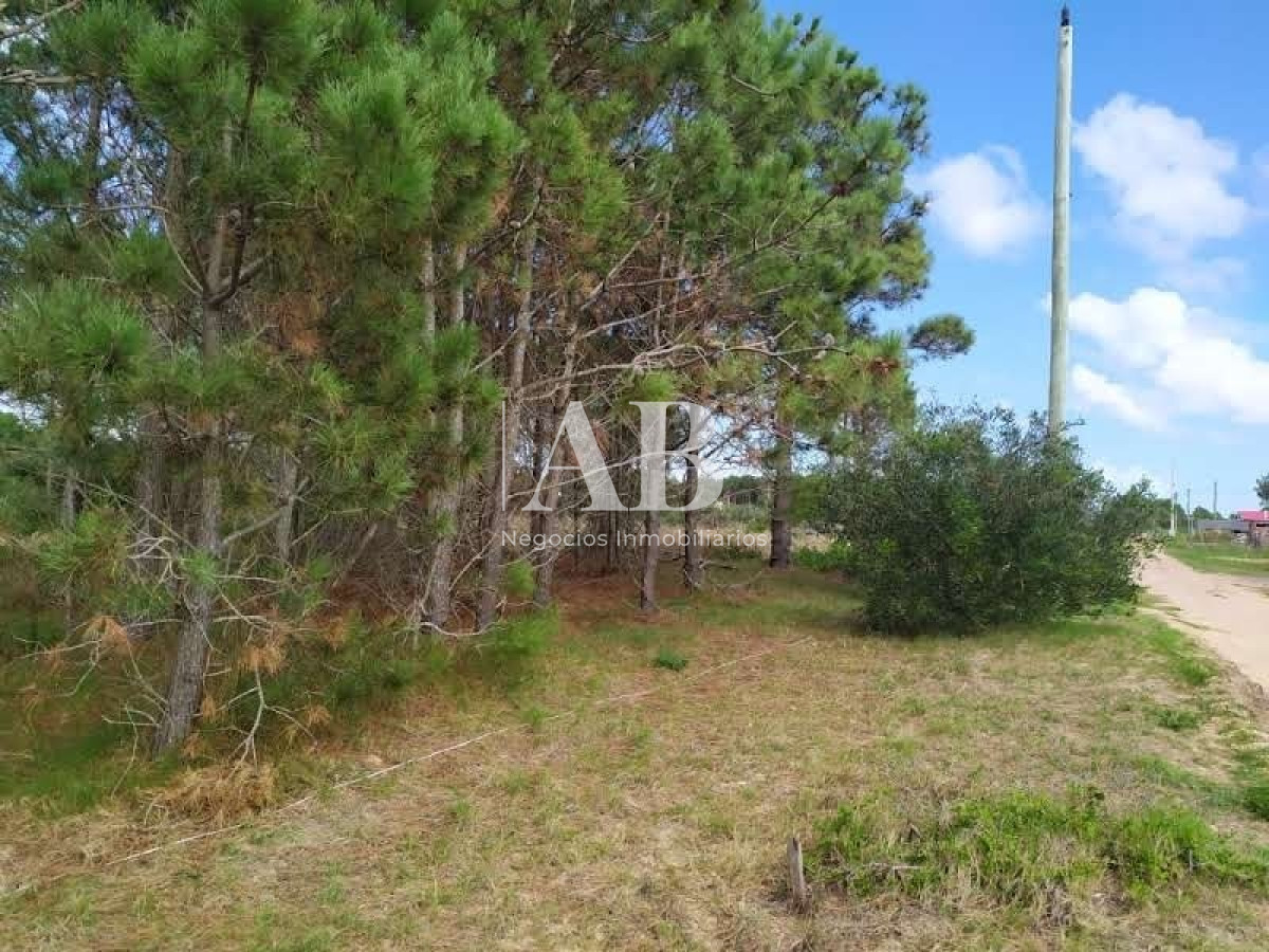 Terreno ID.11 - Terrenos En La Viuda - A 7 Cuadras De La Playa - Mza 304
