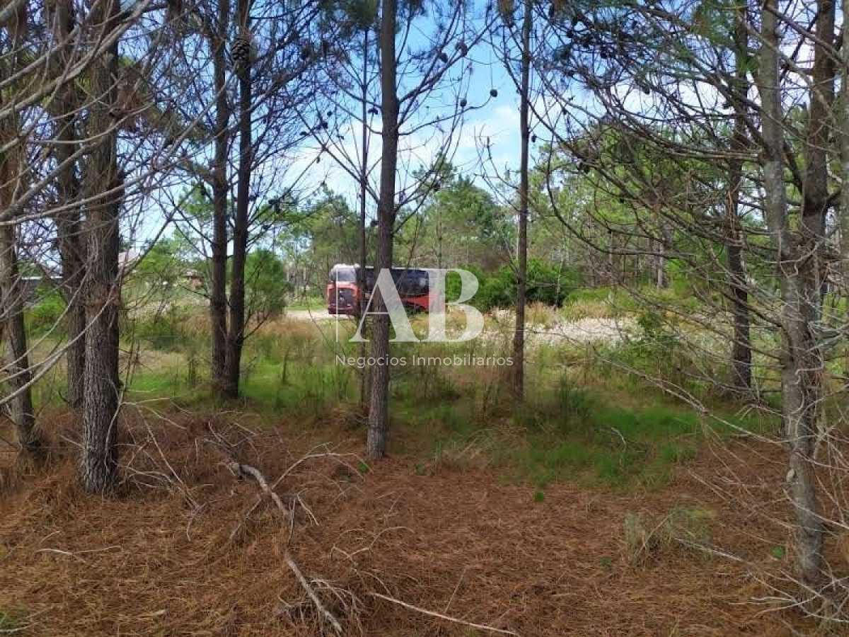 Terreno ID.11 - Terrenos En La Viuda - A 7 Cuadras De La Playa - Mza 304