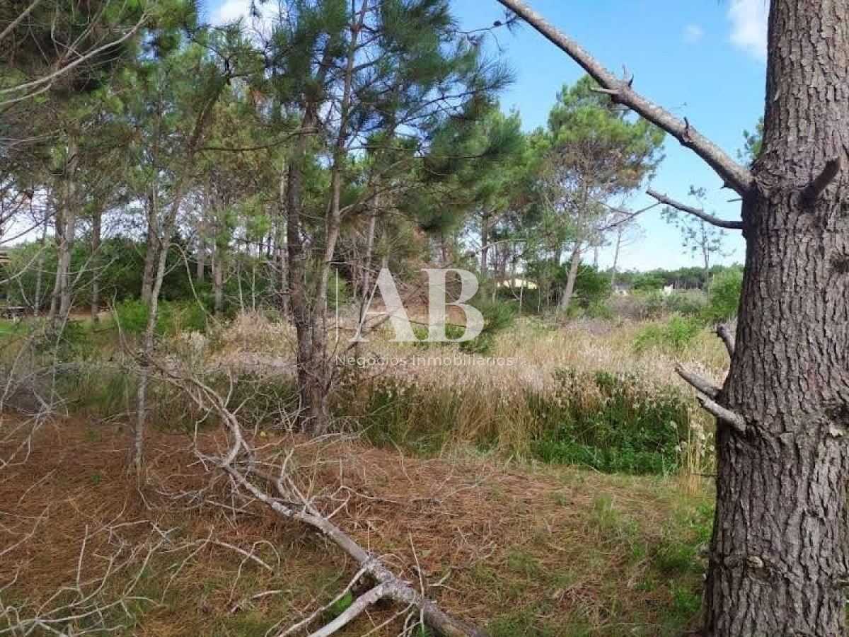Terreno ID.11 - Terrenos En La Viuda - A 7 Cuadras De La Playa - Mza 304