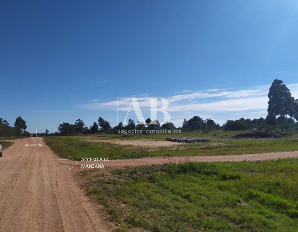 Terreno ID.12 - Manzana Entera - Barrio La Viuda 6.579m2 - Mza 340