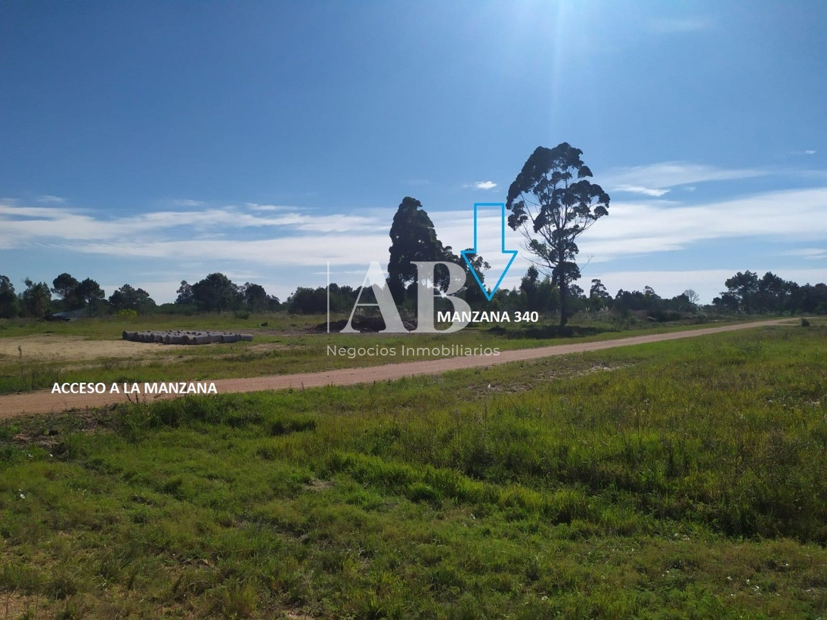 Terreno ID.12 - Manzana Entera - Barrio La Viuda 6.579m2 - Mza 340