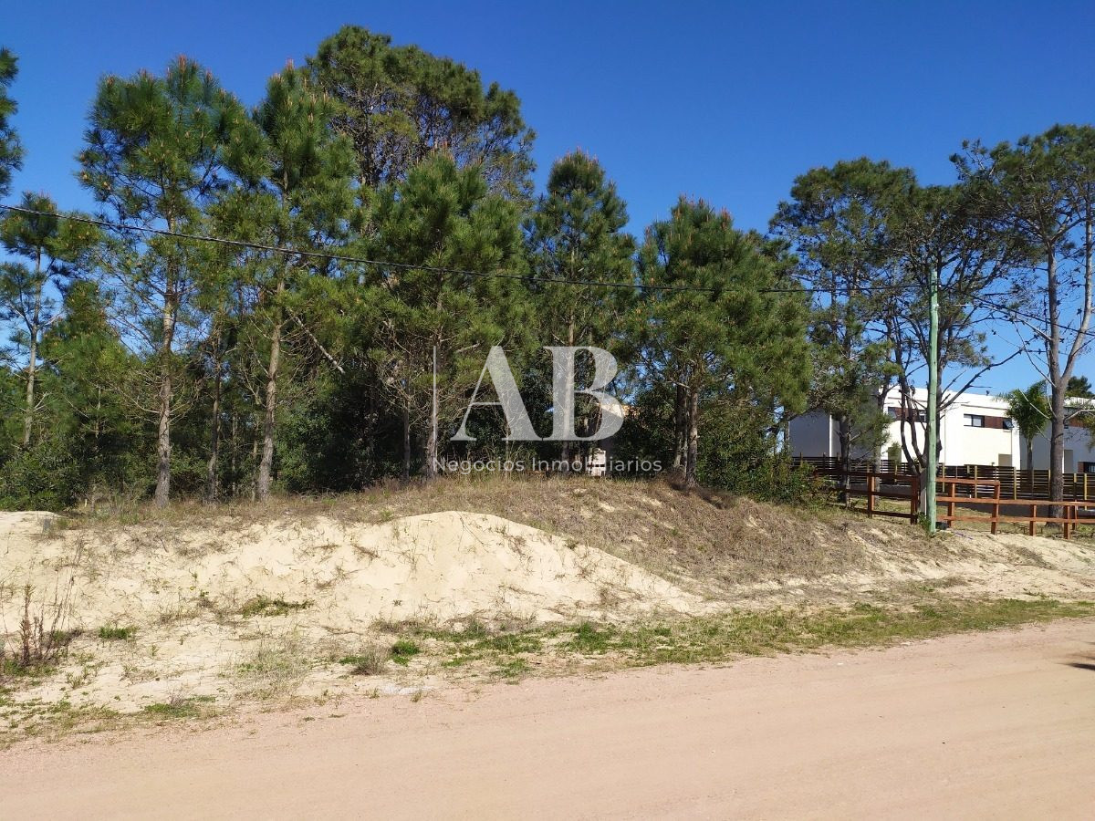 Terreno ID.13 - Terreno A 700m De Playa La Viuda - Mza 213 S 9