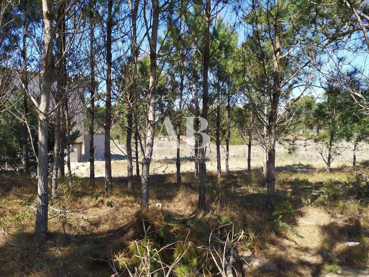 Terreno ID.13 - Terreno A 700m De Playa La Viuda - Mza 213 S 9