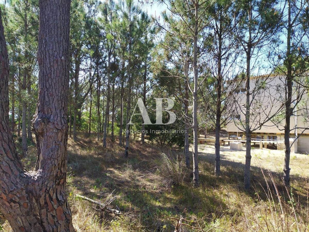 Terreno ID.13 - Terreno A 700m De Playa La Viuda - Mza 213 S 9