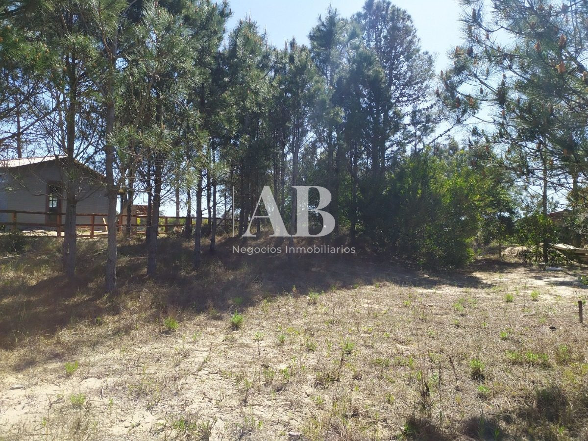 Terreno ID.13 - Terreno A 700m De Playa La Viuda - Mza 213 S 9