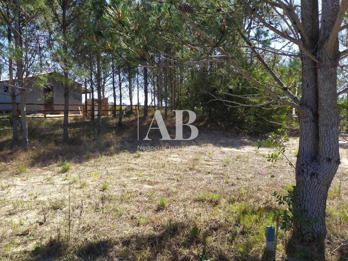 Terreno ID.13 - Terreno A 700m De Playa La Viuda - Mza 213 S 9