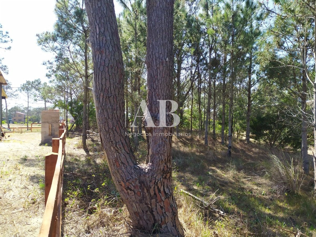 Terreno ID.13 - Terreno A 700m De Playa La Viuda - Mza 213 S 9