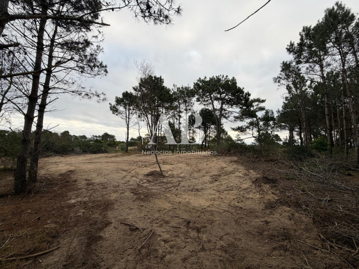 Terreno ID.320 - Solar de 590m2 a 1000m de la Playa-Punta del Diablo