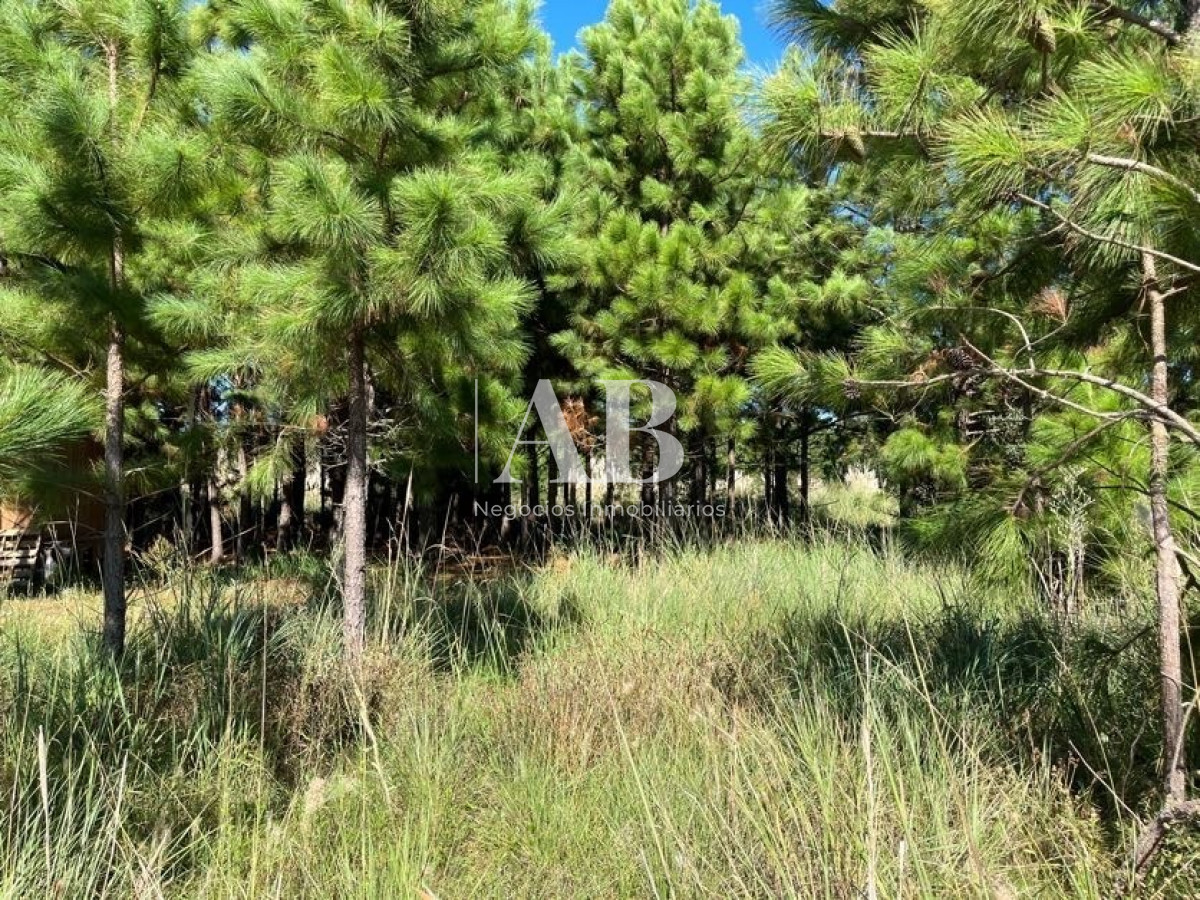 Terreno ID.15 - Solares - Sobre Av. Central - Punta Del Diablo - Mza 141