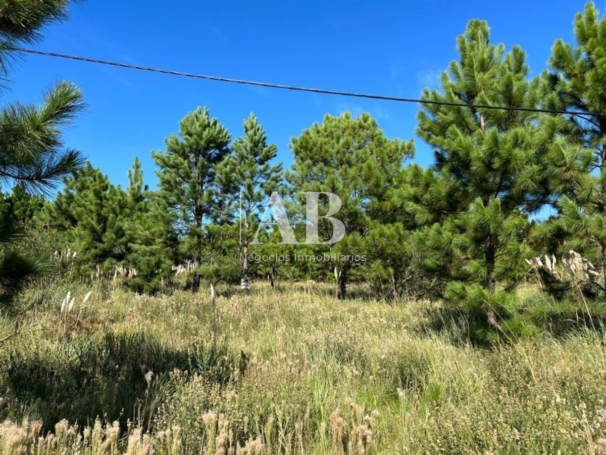 Terreno ID.15 - Solares - Sobre Av. Central - Punta Del Diablo - Mza 141