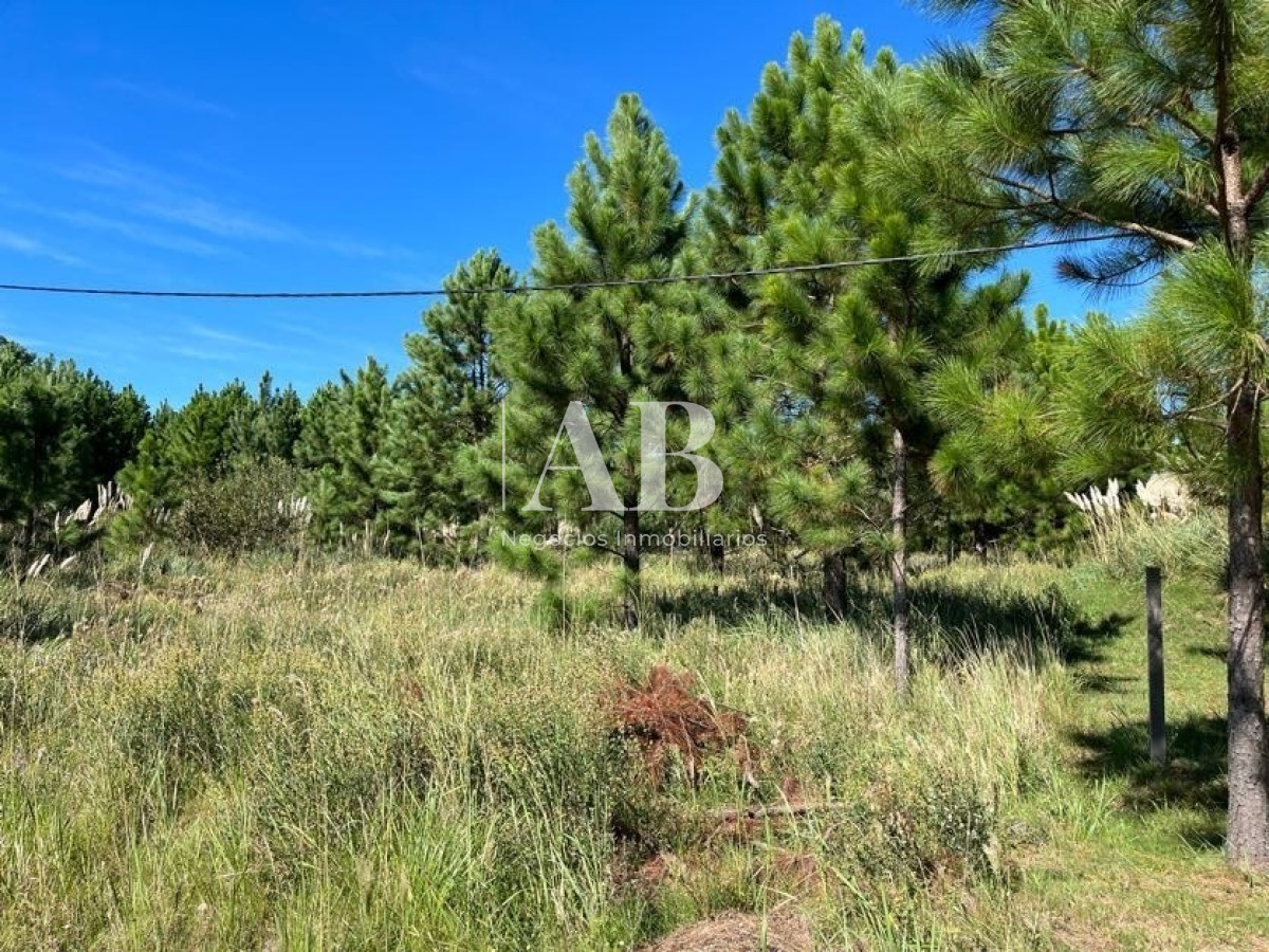 Terreno ID.15 - Solares - Sobre Av. Central - Punta Del Diablo - Mza 141