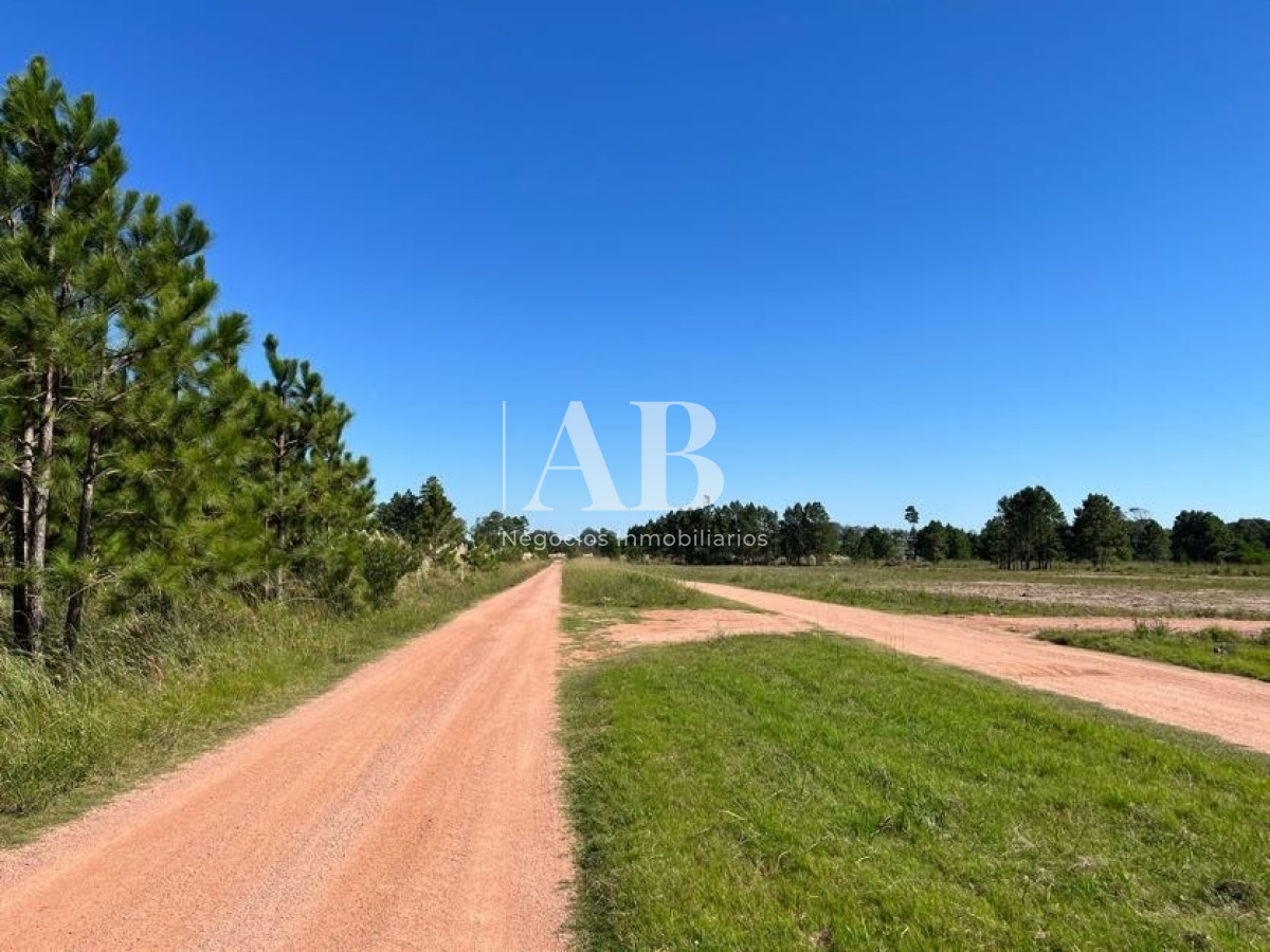 Terreno ID.15 - Solares - Sobre Av. Central - Punta Del Diablo - Mza 141