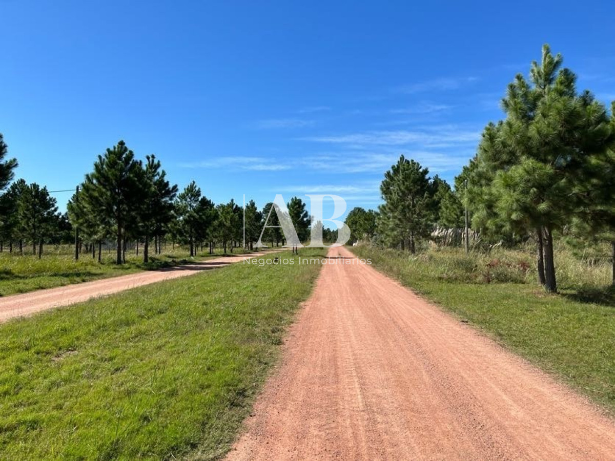 Terreno ID.15 - Solares - Sobre Av. Central - Punta Del Diablo - Mza 141