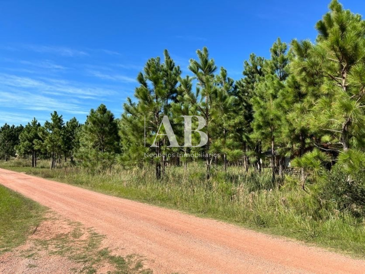 Terreno ID.15 - Solares - Sobre Av. Central - Punta Del Diablo - Mza 141