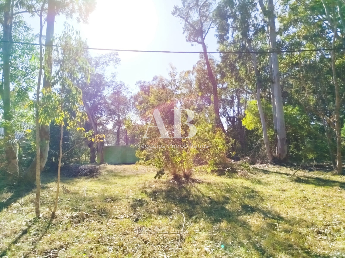 Apartamento ID.251 - Terreno zona Centro - La Esmeralda.