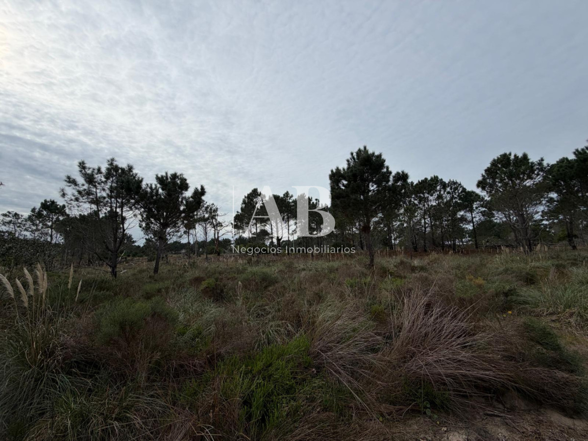 Terreno ID.322 - Solar Esquinero a 400M de la Playa- La Viuda