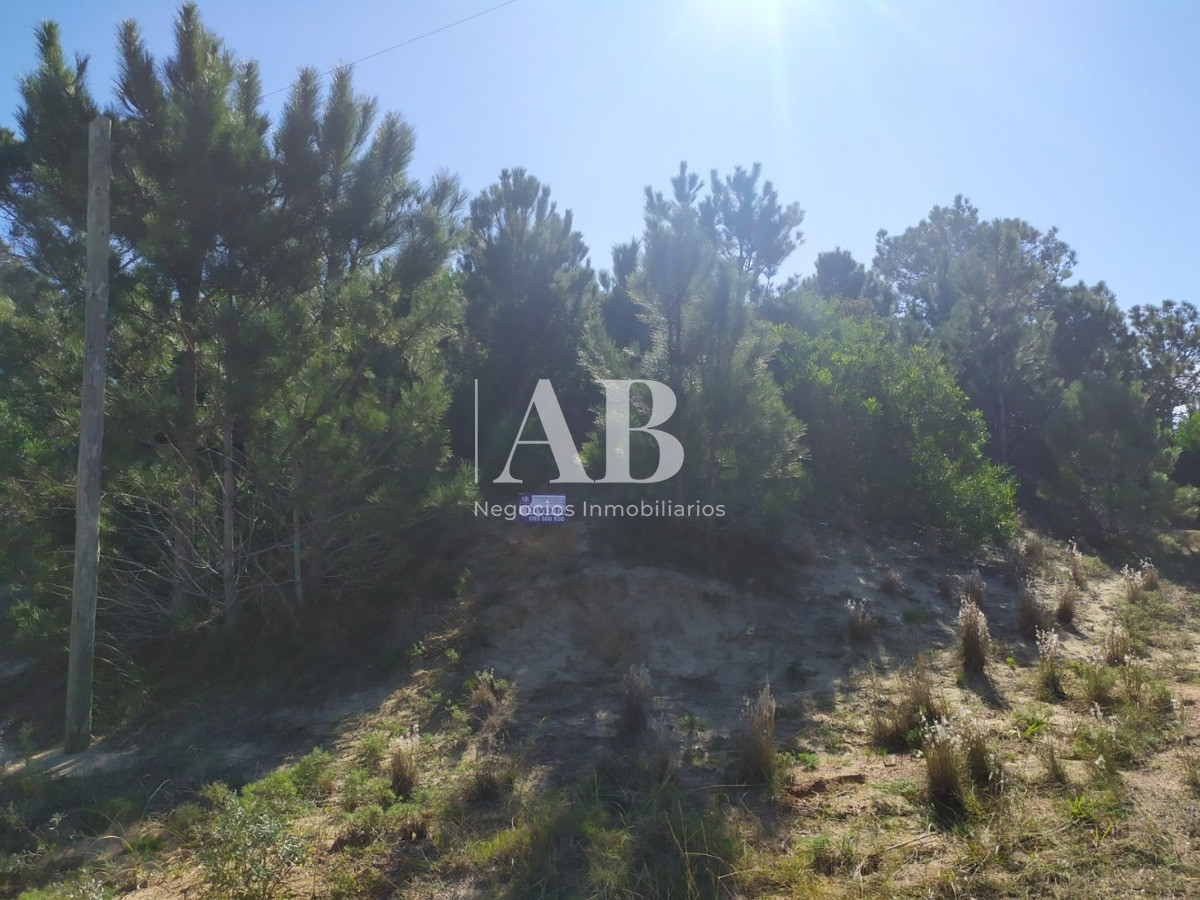 Terreno ID.16 - Terreno A 250 Playa La Viuda - Mza 187