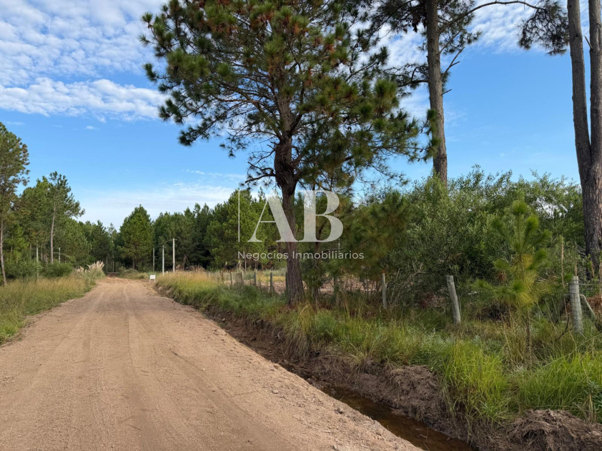 Terreno ID.336 - Hermosos Solares esquineros en barrio Pinares-Próximos Avenida Central!!
