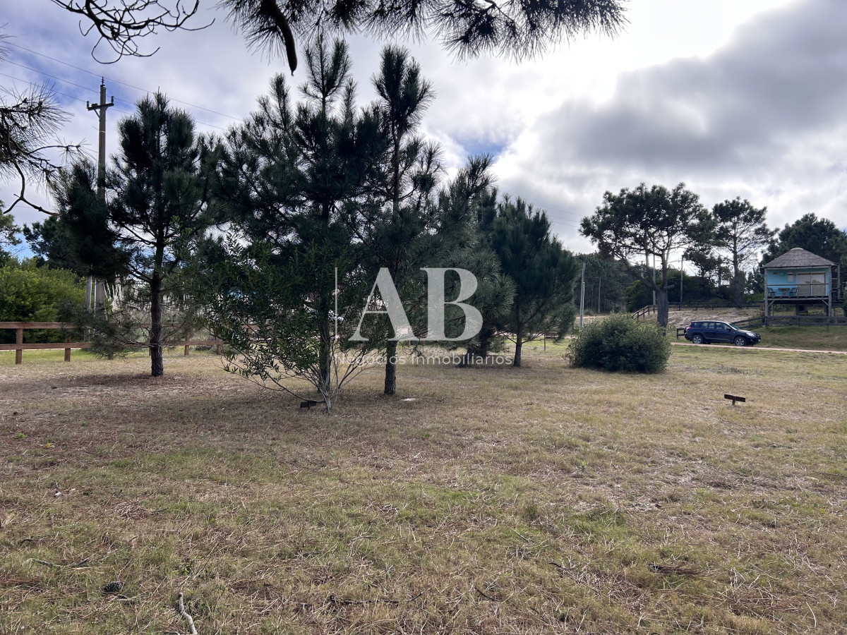 Terreno ID.75 - Raíces - Solares financiados a 200m Playa LaViuda 