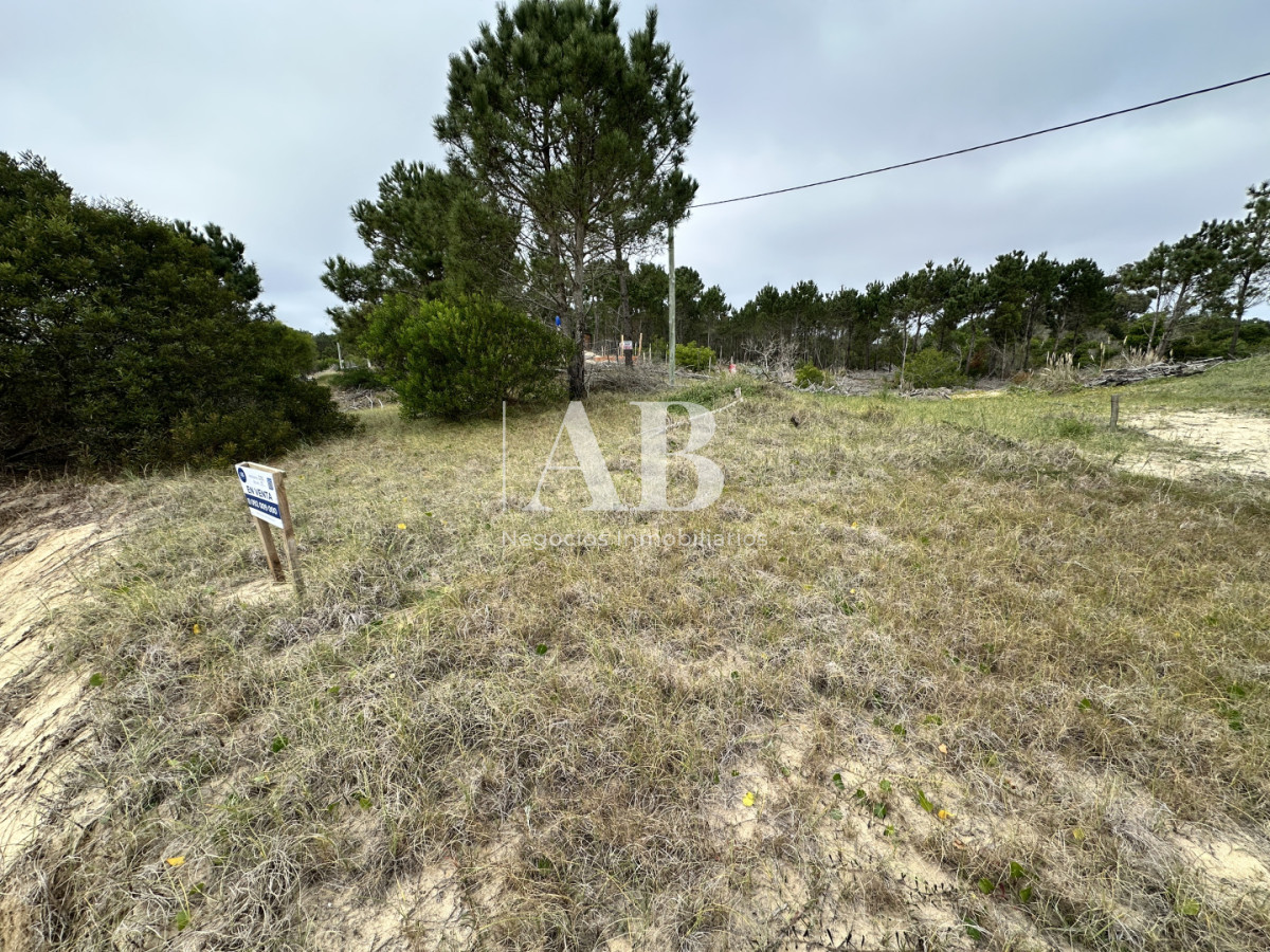 Terreno ID.315 - EN VENTA Solar 19 Manzana 232 - Punta del Diablo