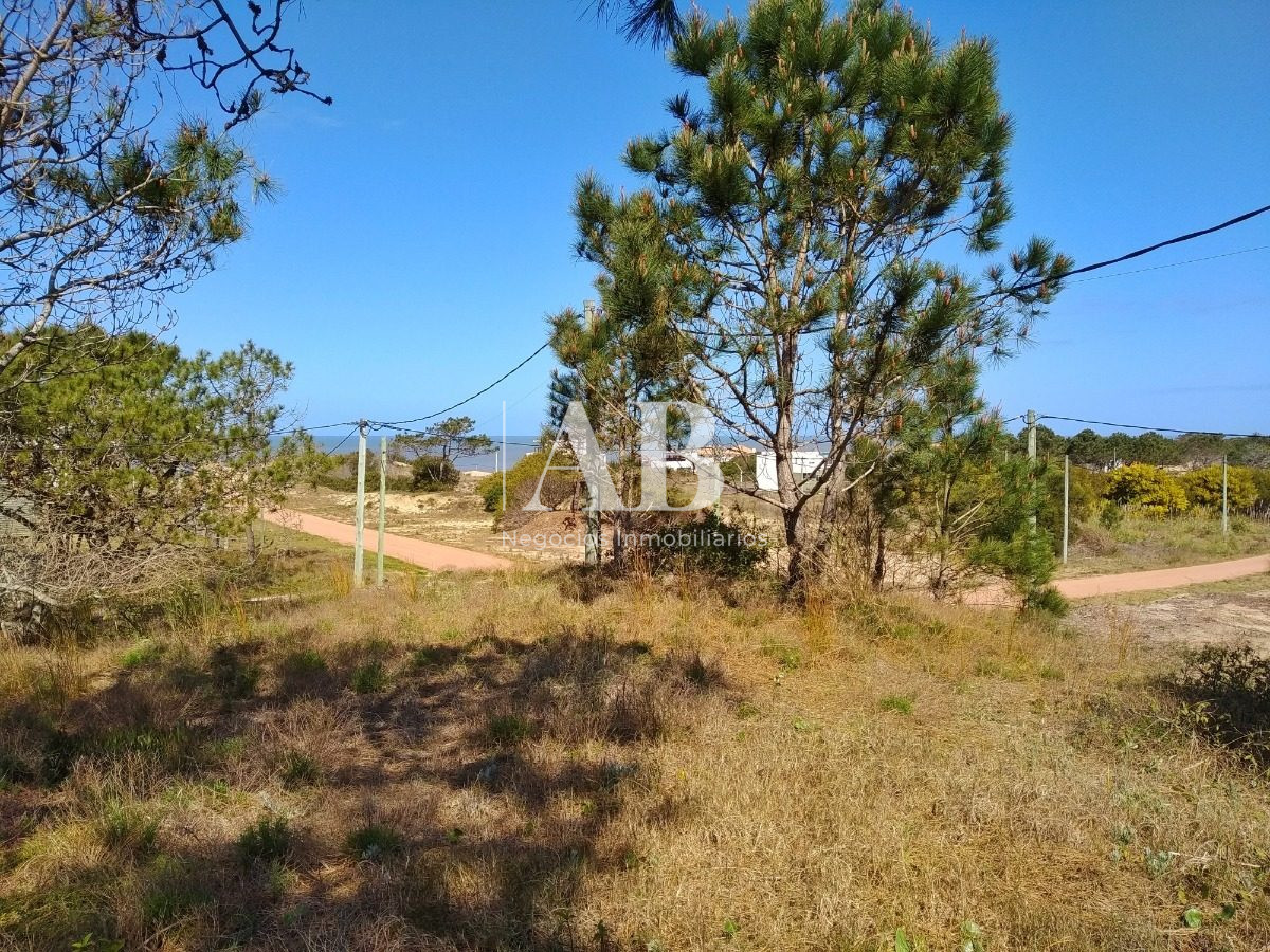 Terreno ID.19 - Terreno esquinero De 1030m2 - A 200m De Playa La Viuda - Mza 182