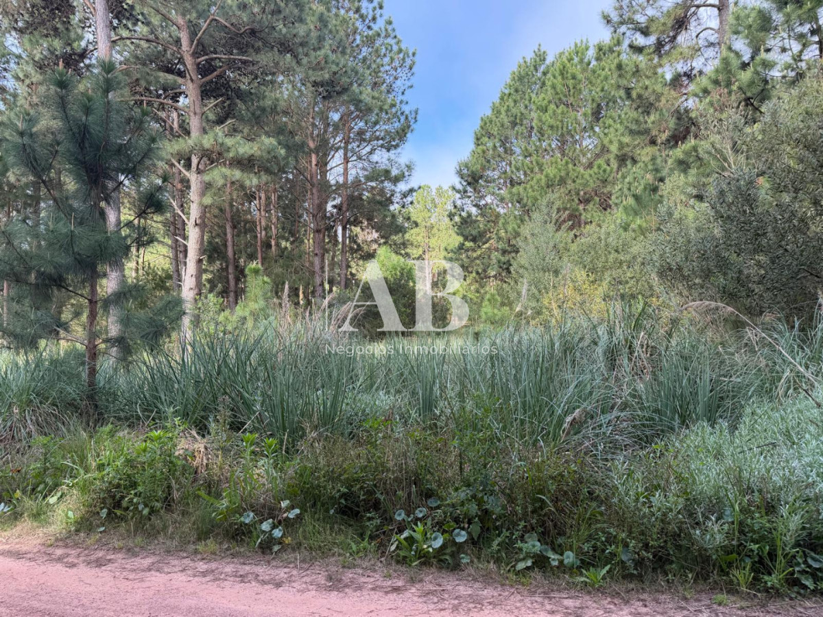 Terreno ID.385 - ¡ OPORTUNIDAD ! En venta 1000m2 en Punta Del Diablo Barrio Pinares