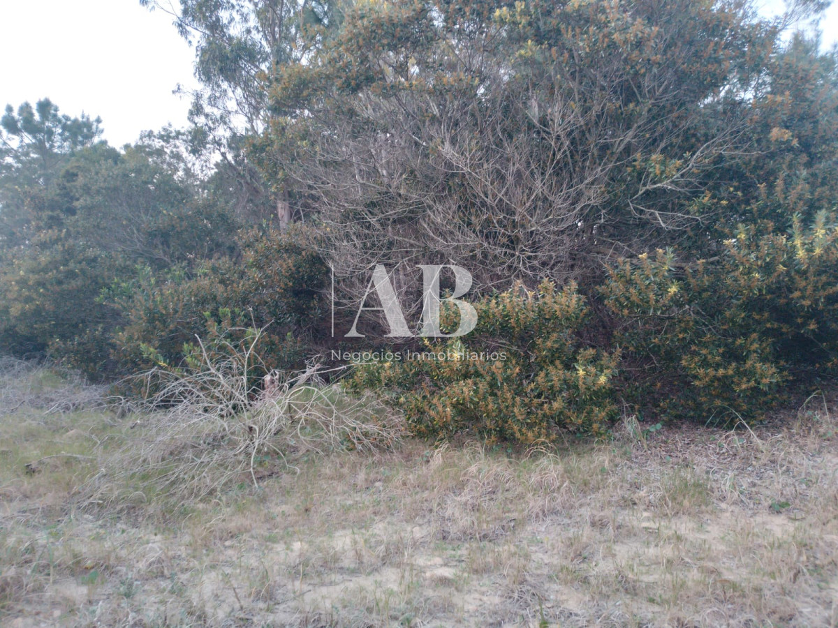 Terreno ID.146 - Terreno La Esmeralda calle 37 Mza. 222