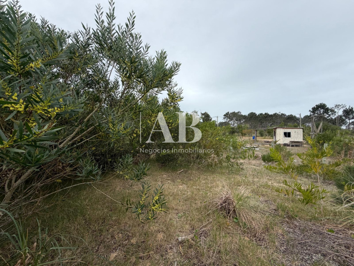Terreno ID.346 - Terreno en Punta Del Diablo cercado a 400m Playa La Viuda  